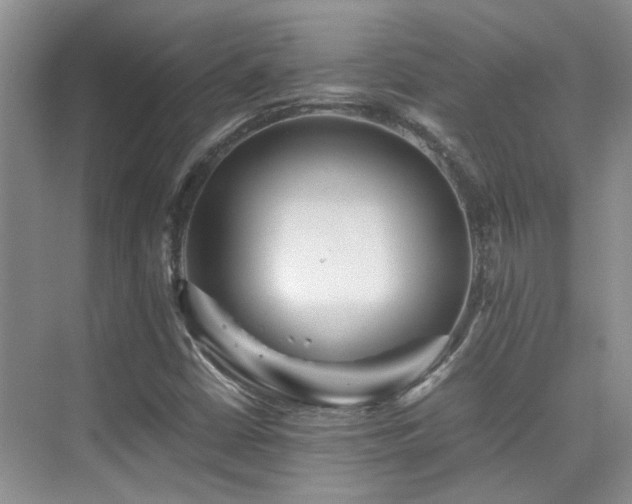 X0000076071402200609221144