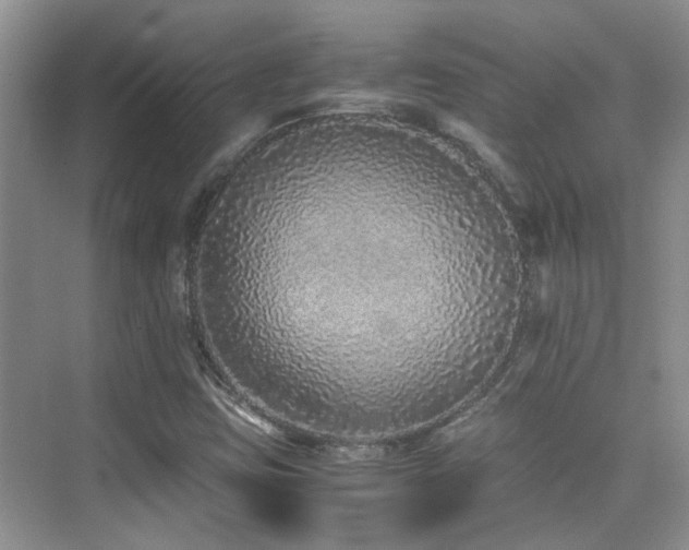 X0000076071403200609221144