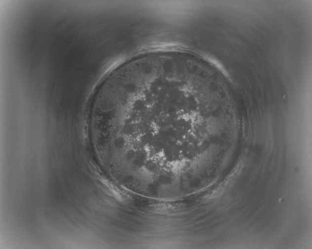 X0000076071405200609221144