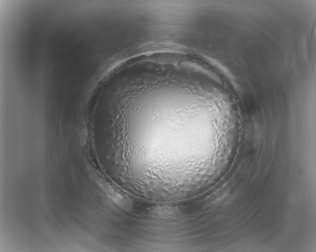 X0000076071407200609221144