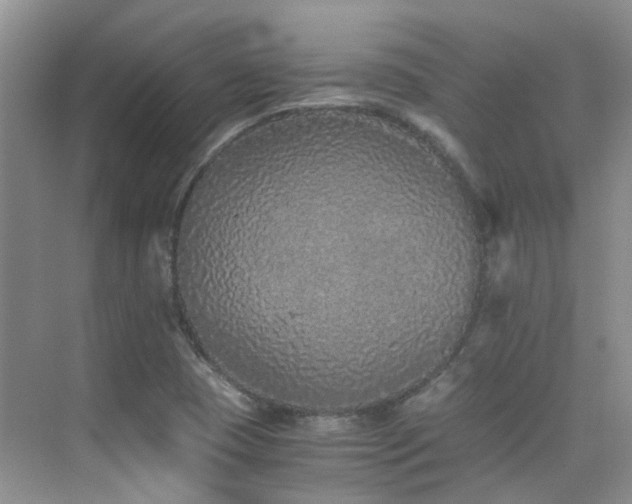 X0000076071409200609221144