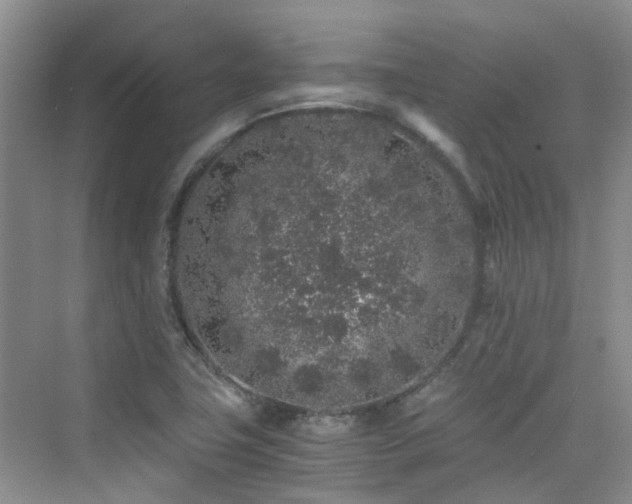 X0000076071411200609221144