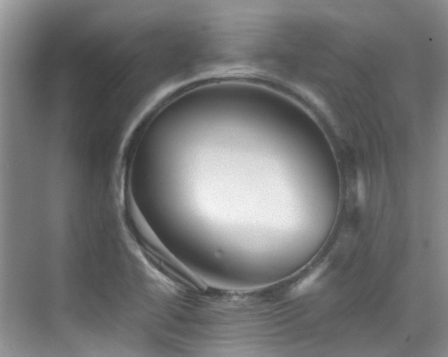 X0000076071414200609221144