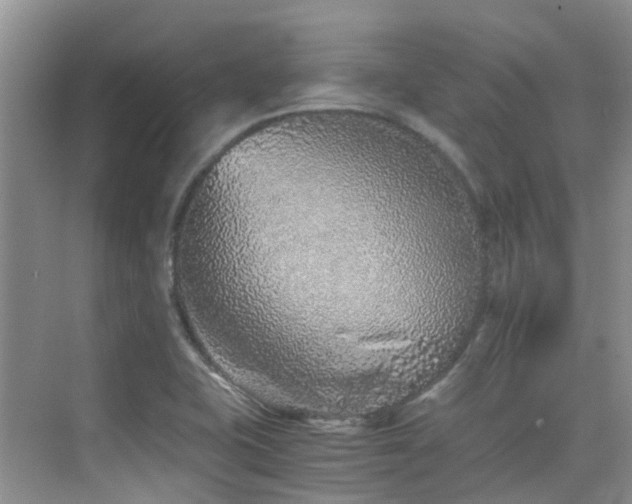 X0000076071415200609221144