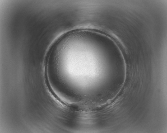 X0000076071416200609221144