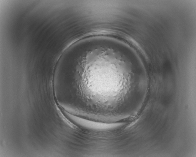 X0000076071417200609221144