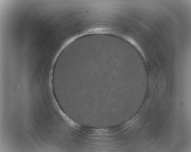 X0000076071421200609221145