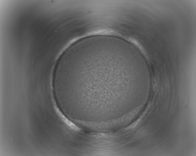 X0000076071422200609221145