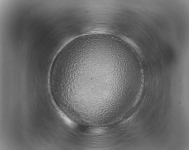 X0000076071423200609221145