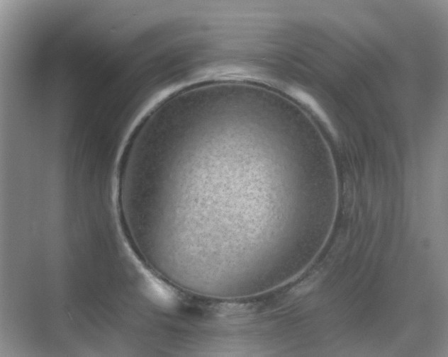 X0000076071424200609221145