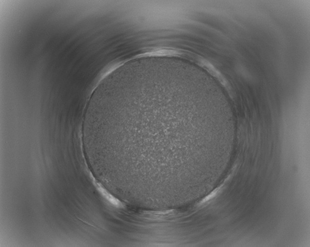 X0000076071425200609221145