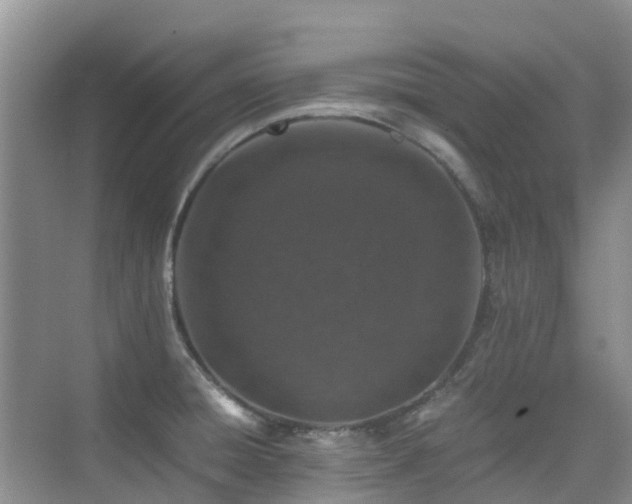 X0000076071428200609221145