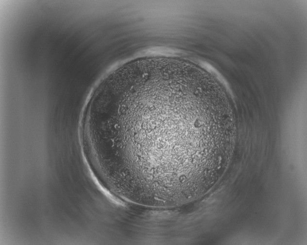 X0000076071429200609221145