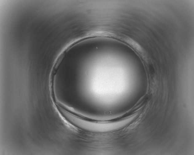 X0000076071430200609221145