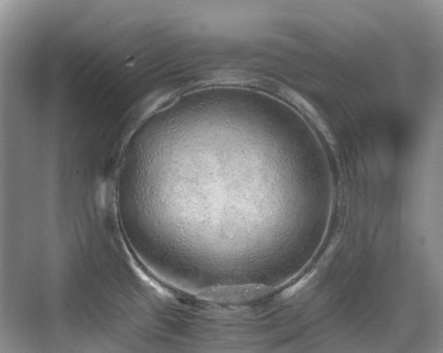 X0000076071433200609221145