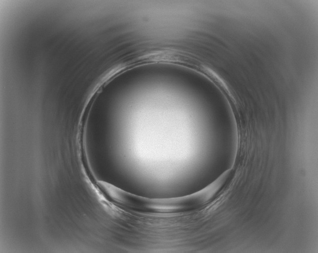 X0000076071434200609221145