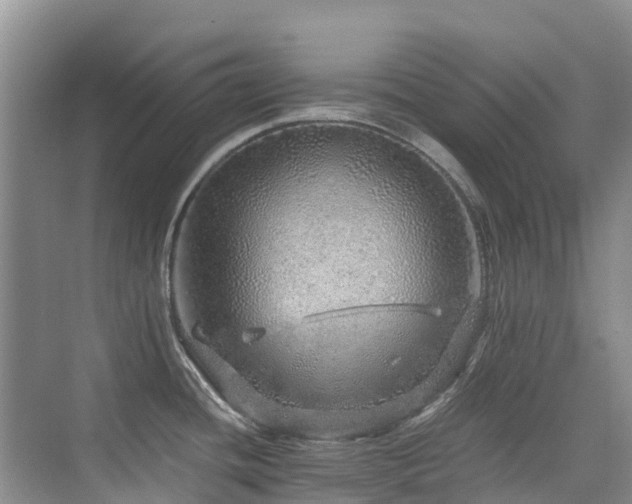 X0000076071436200609221145