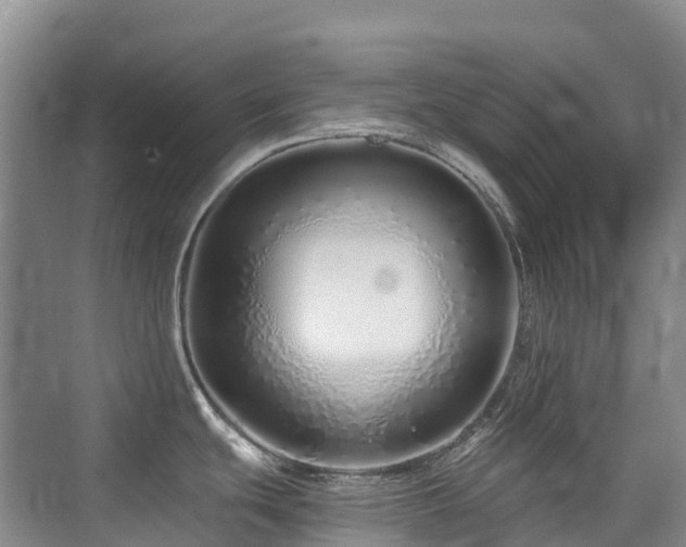 X0000076071439200609221145