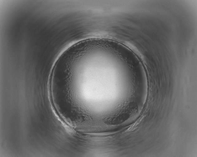 X0000076071440200609221145