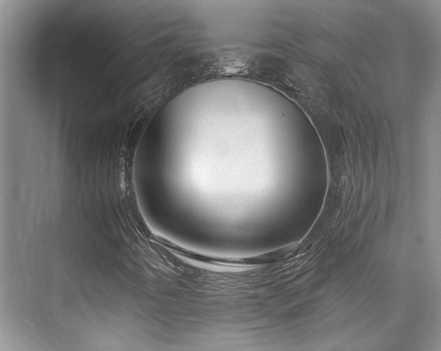 X0000076071442200609221144