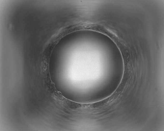 X0000076071447200609221144