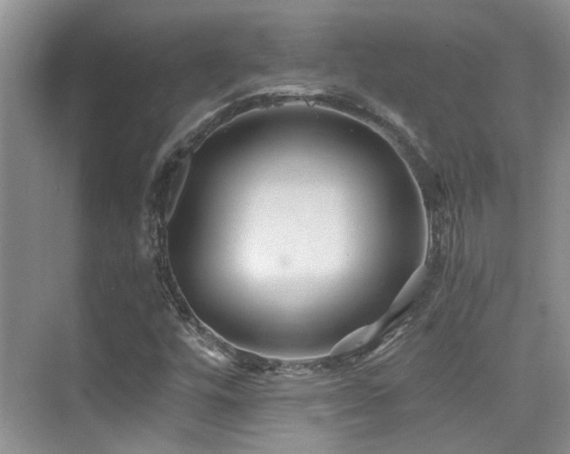 X0000076071448200609221144