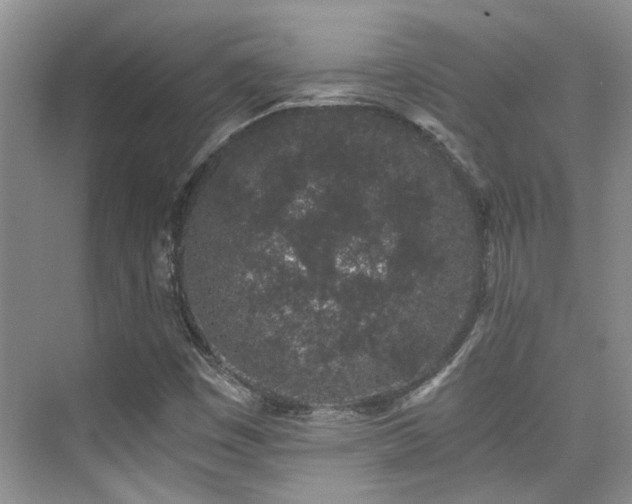 X0000076071449200609221144