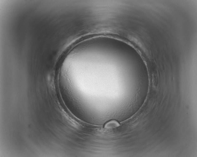 X0000076071452200609221144