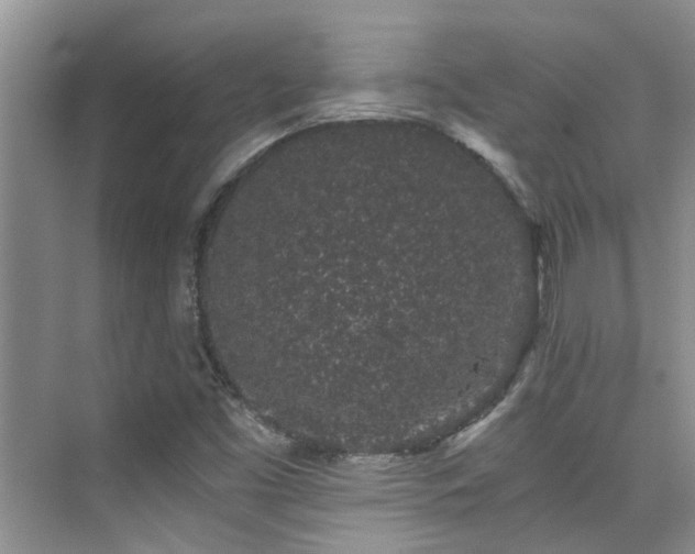 X0000076071453200609221144