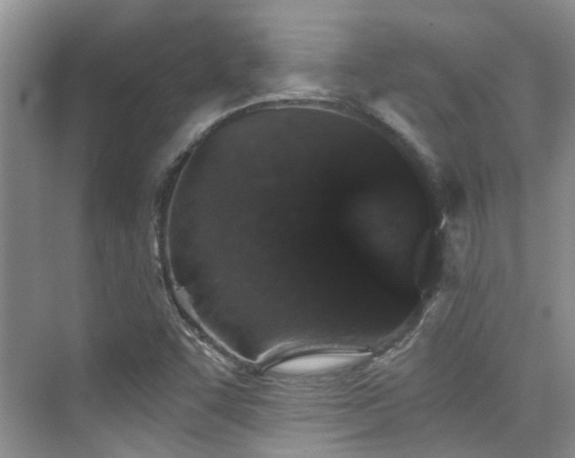 X0000076071455200609221144