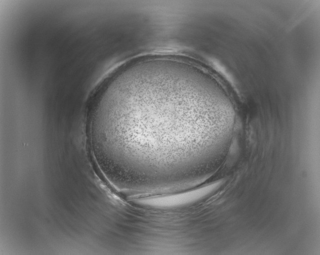 X0000076071456200609221144