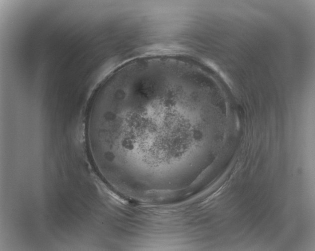 X0000076071459200609221144