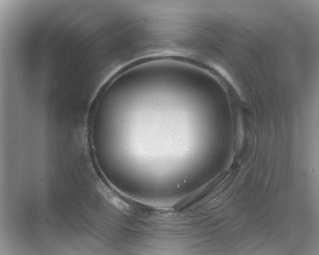 X0000076071460200609221144