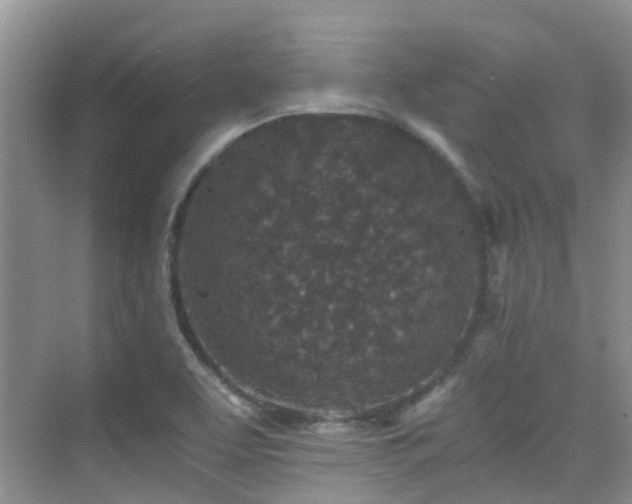 X0000076071463200609221144