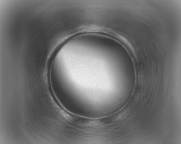 X0000076071464200609221144