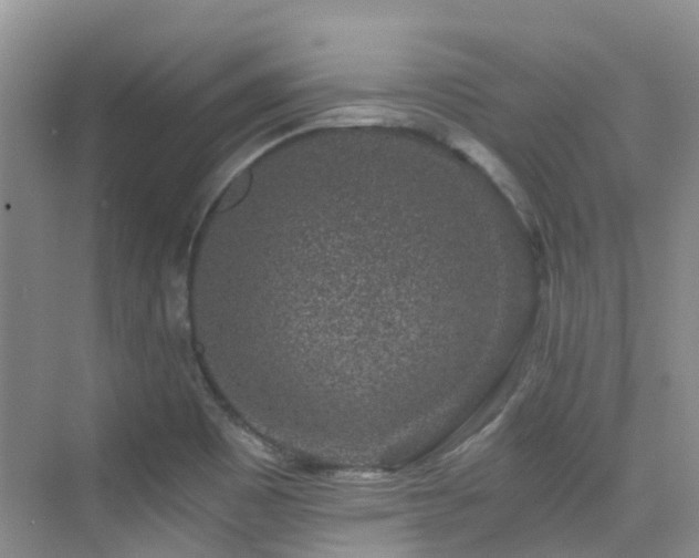 X0000076071465200609221144