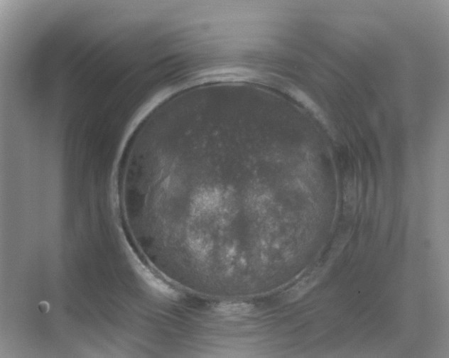 X0000076071466200609221144