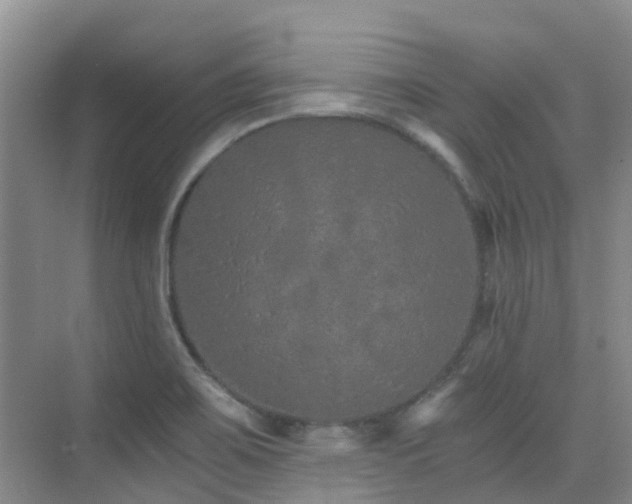 X0000076071467200609221144