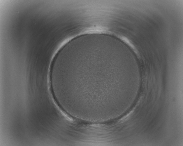 X0000076071469200609221144