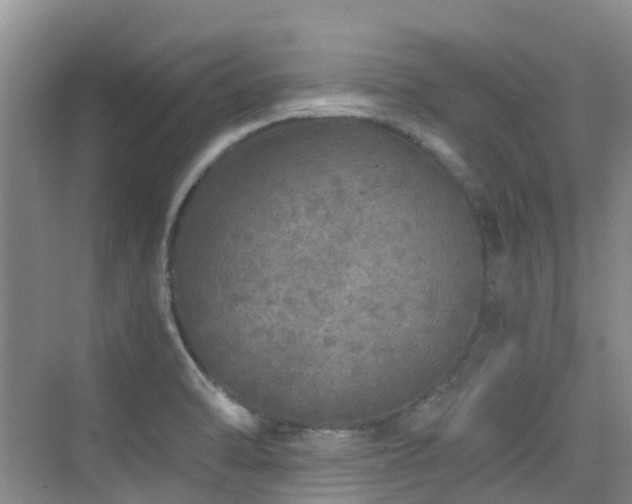 X0000076071470200609221144