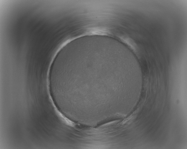 X0000076071471200609221144