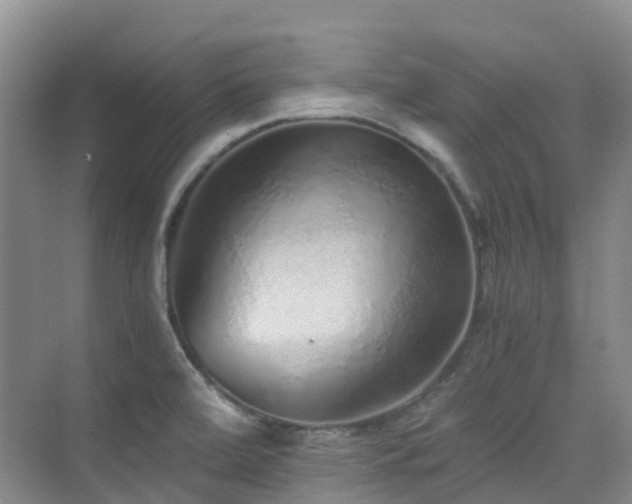 X0000076071472200609221144