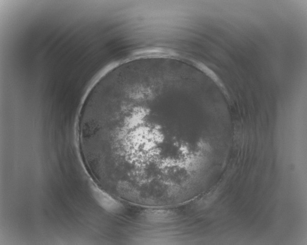 X0000076071474200609221144