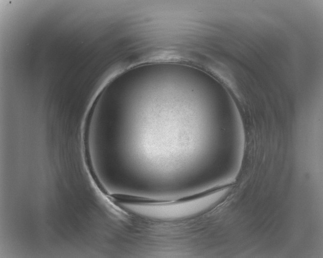 X0000076071475200609221143