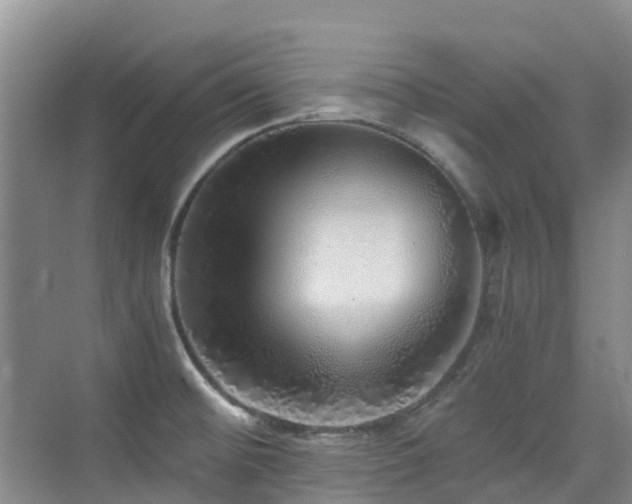 X0000076071476200609221143