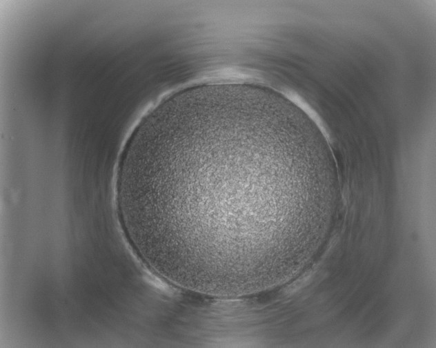 X0000076071477200609221143