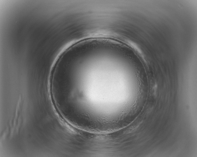 X0000076071480200609221143