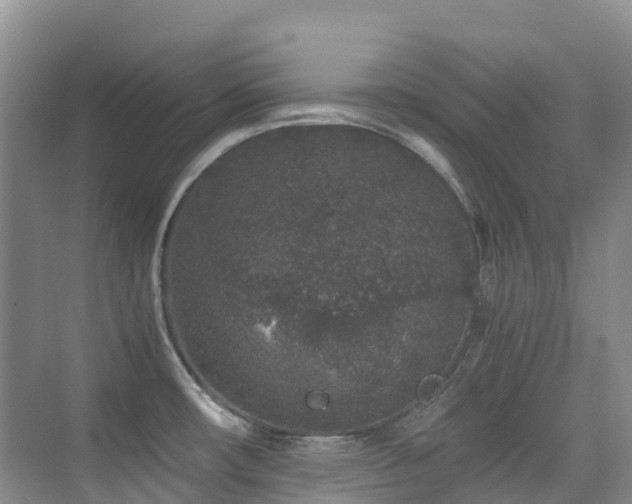 X0000076071482200609221143