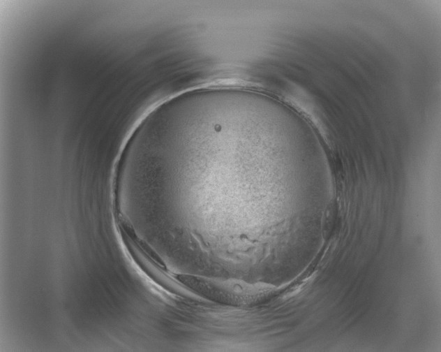 X0000076071483200609221143