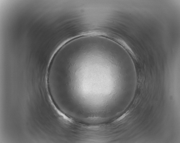 X0000076071484200609221143